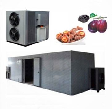 kwaliteit  High Efficiency Commercial Food Dehydrator Use Apricot Fruit Heat Pump Drying Machine fabriek